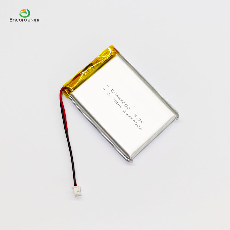 1000mah 3.7v battery