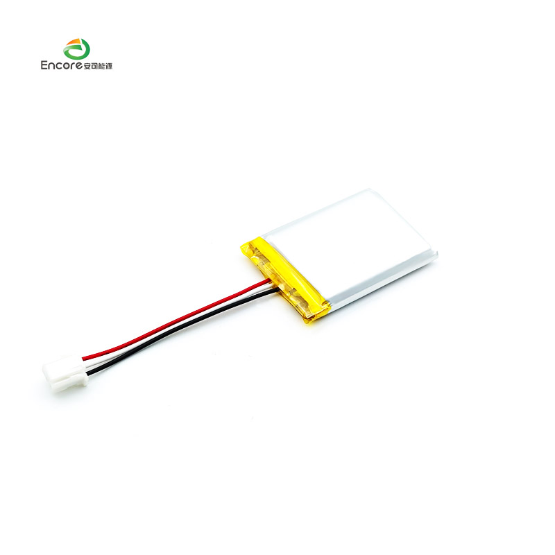 Li Ion Polymer Battery