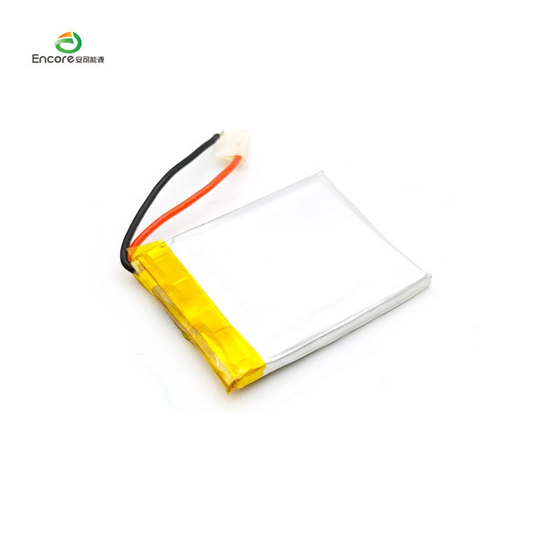 302530 battery