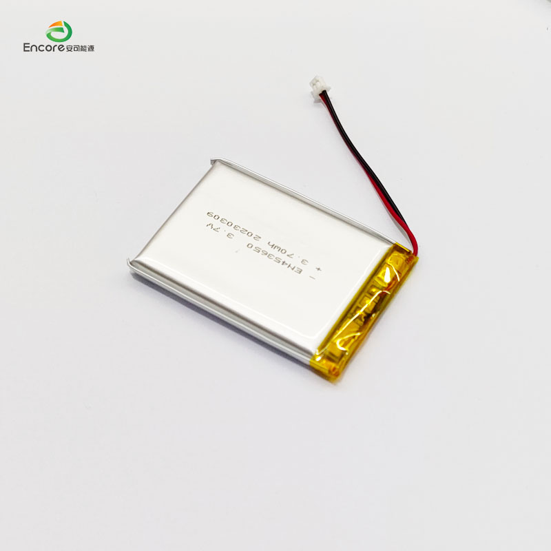 1000mah 3.7v battery