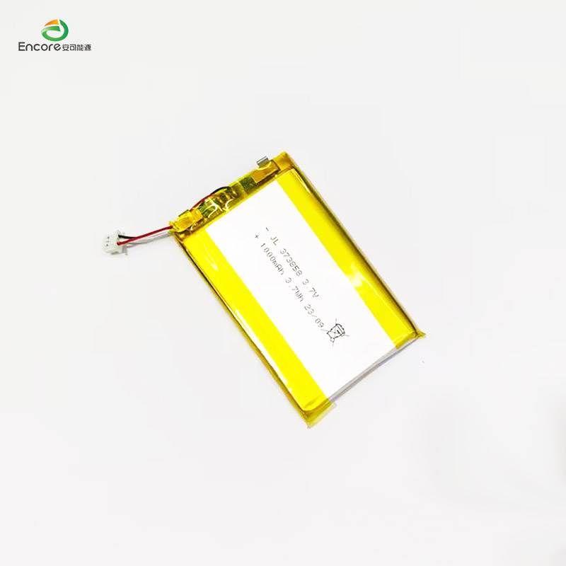 1000mah battery