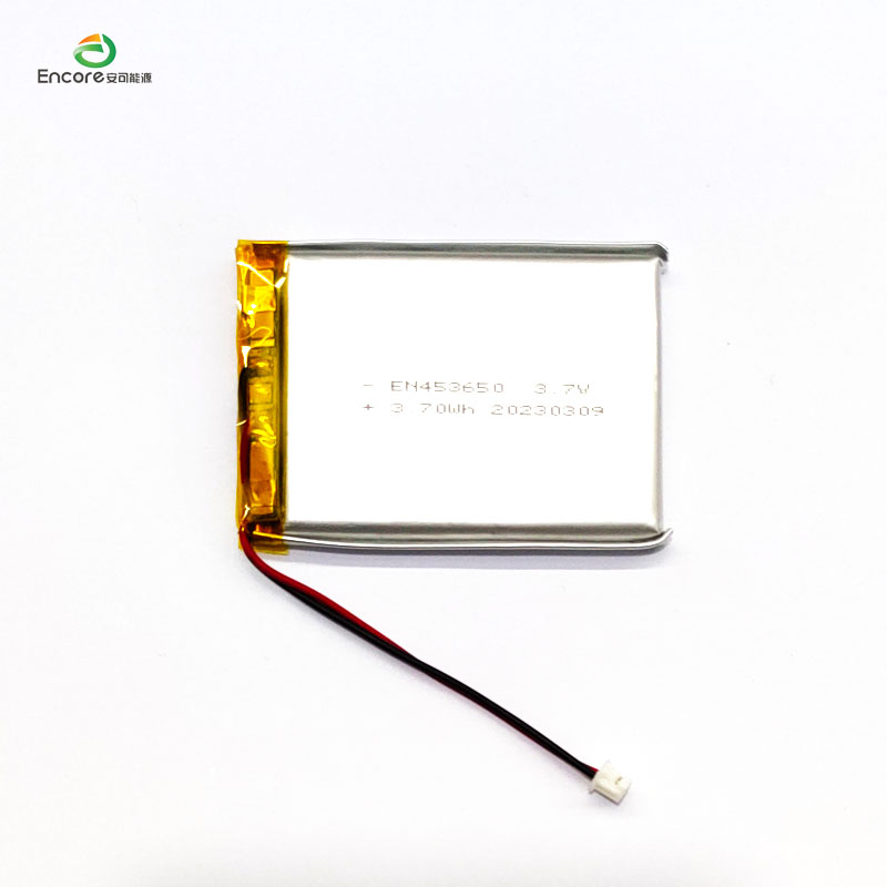 1000mah 3.7v battery