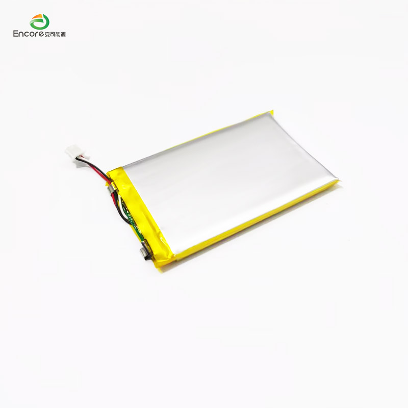 1000mah battery